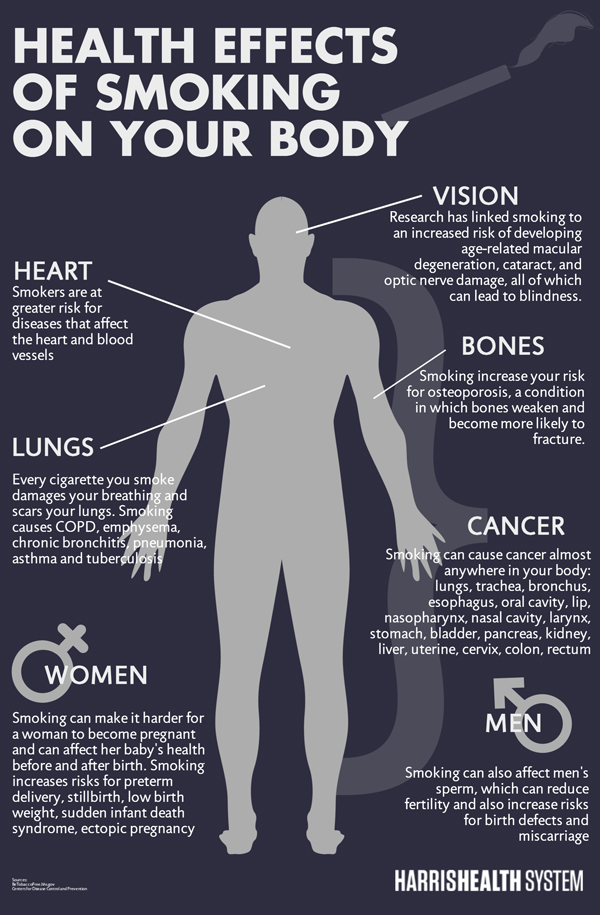 Effects Of Smoking On The Human Body