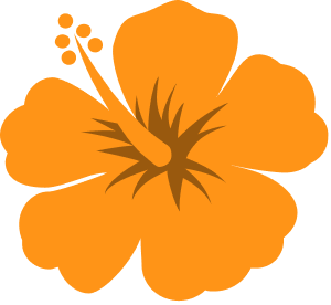 orange-hibiscus@2x.png